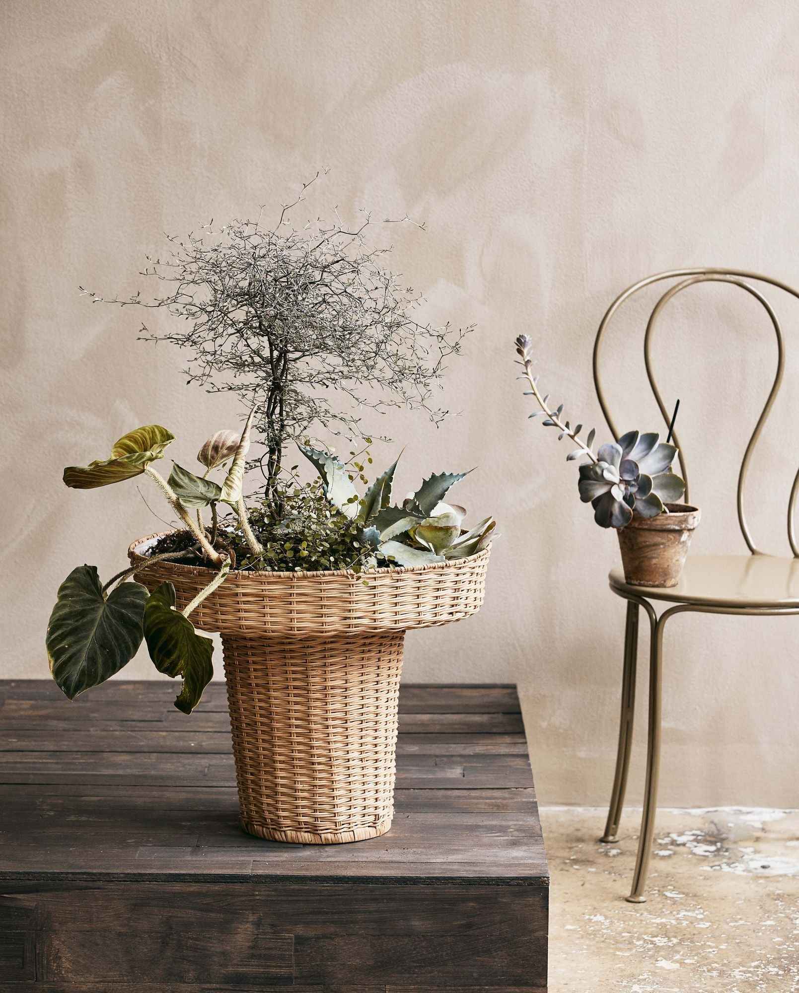 Bambua Laurie portavaso alto rattan nature