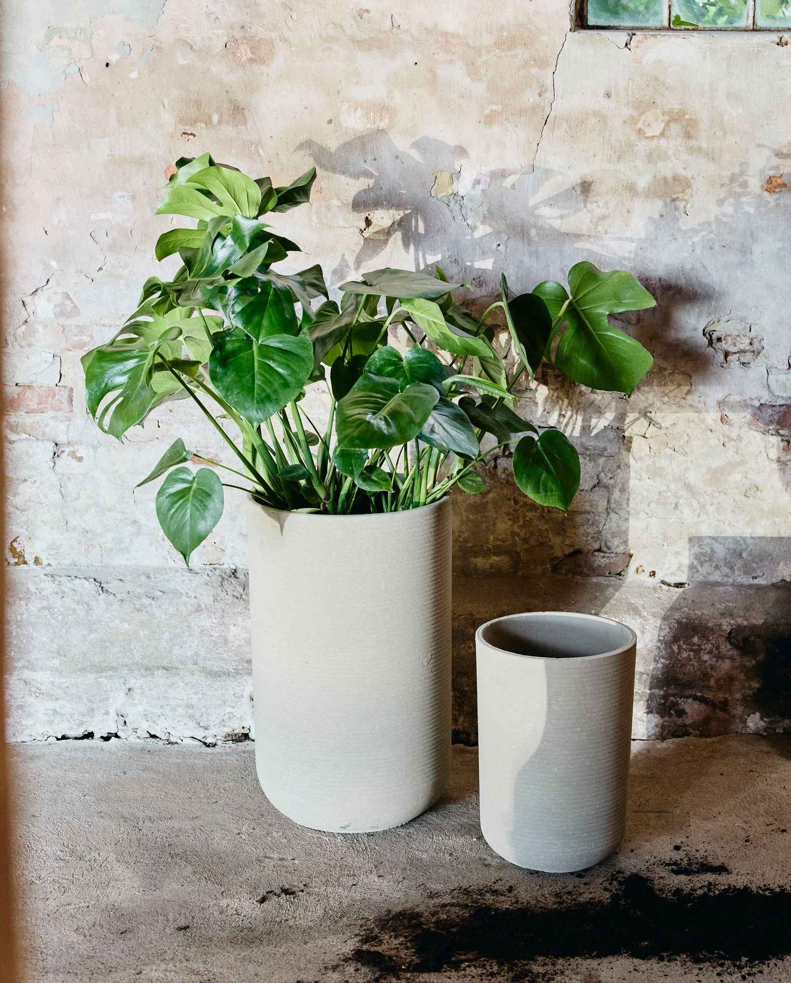 Bambua Granito vaso crema set 2 pezzi esterno