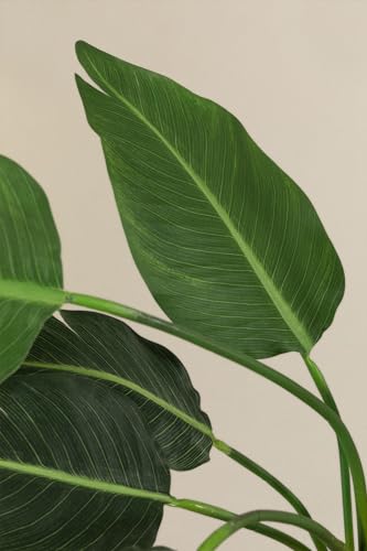 Sklum Strelitzia Style pianta artificiale 110 cm in PVC