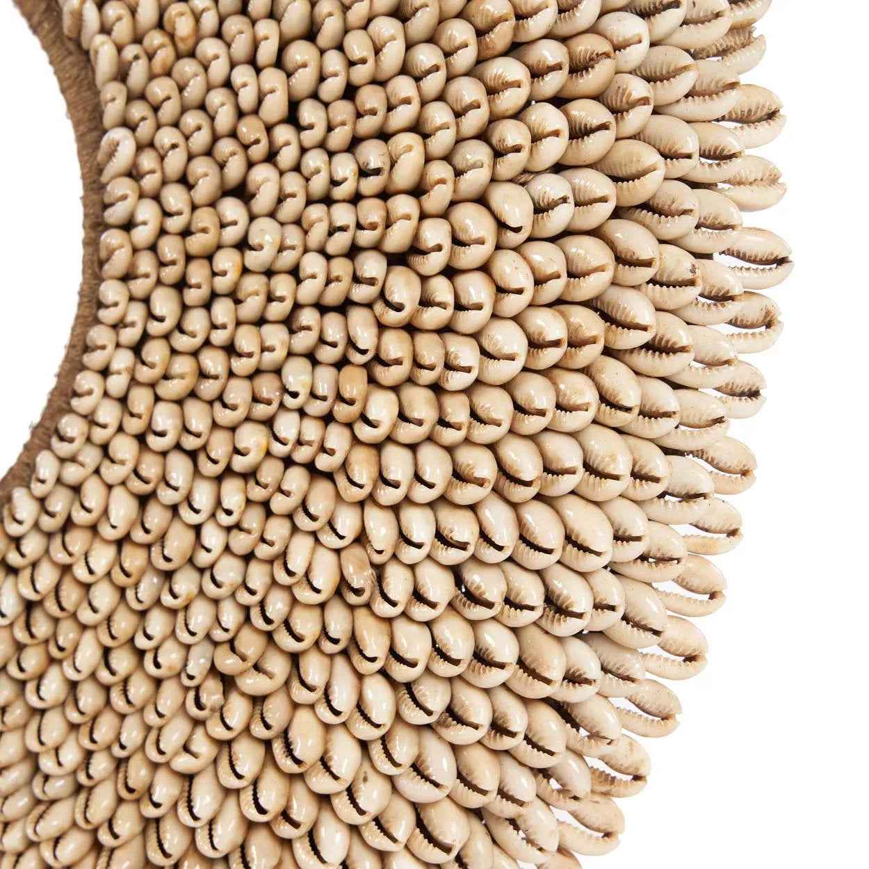 Bambua Shell Réunion decorazione conchiglie naturale supporto