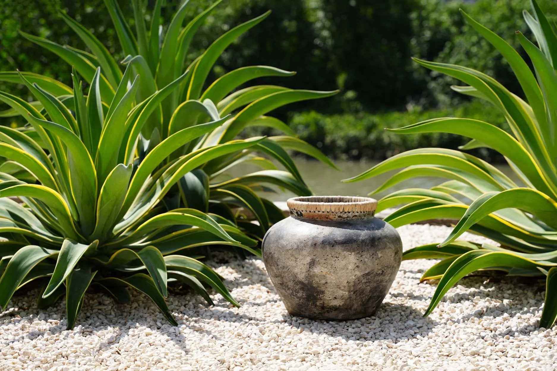 Bambua Styly vaso grigio antico M in terracotta