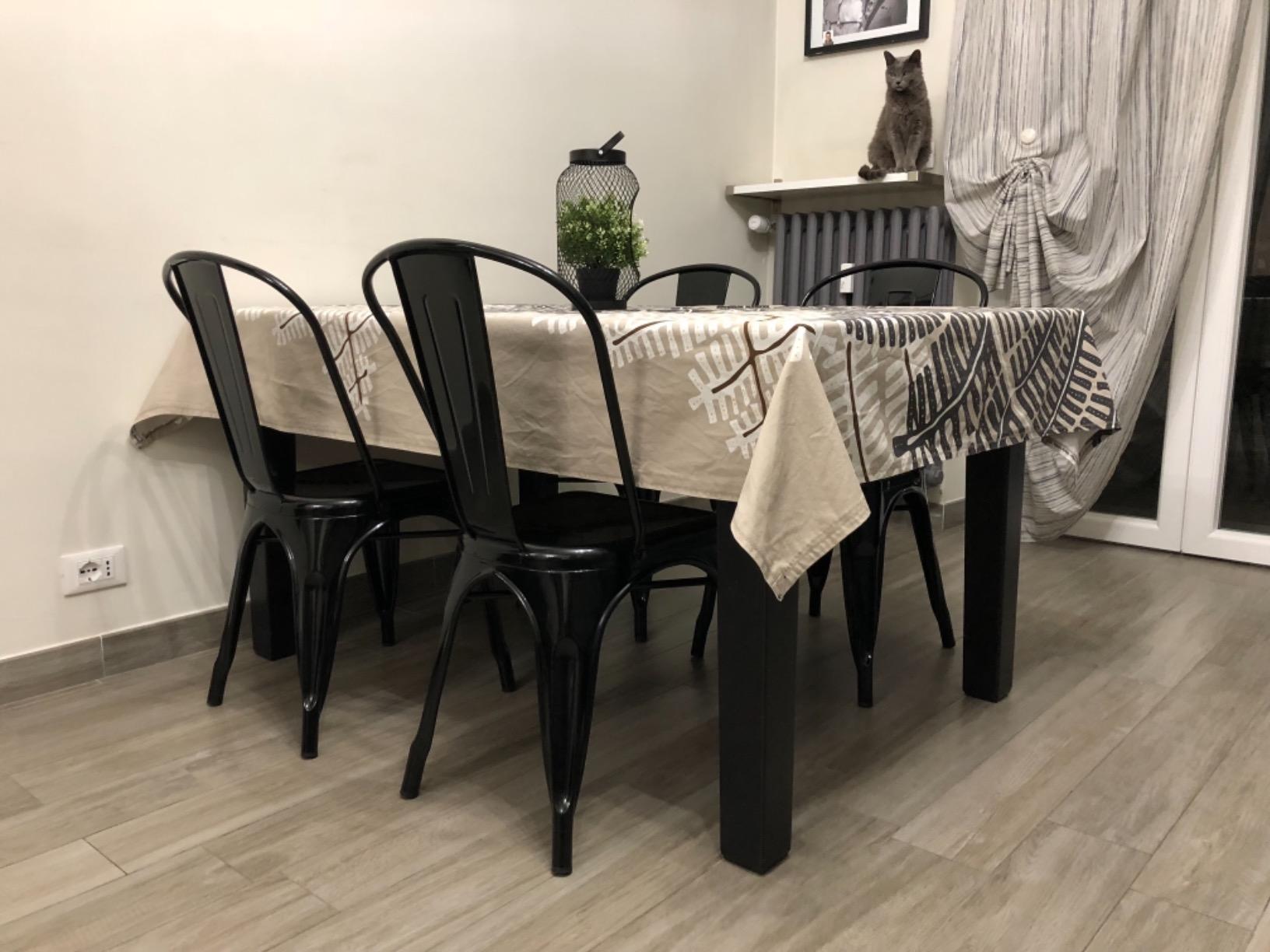 Sklum LIX set 4 sedie sala da pranzo acciaio lucido