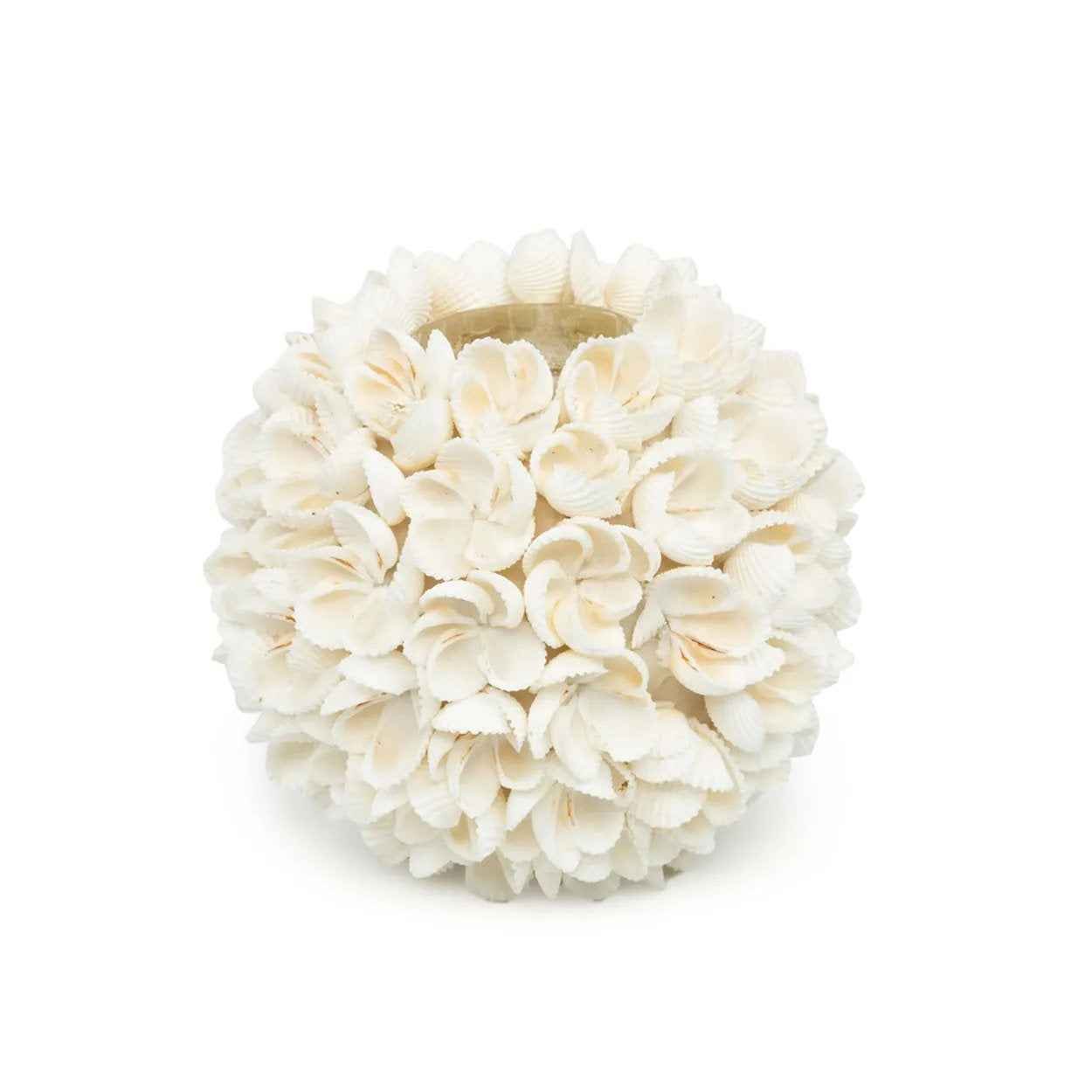 Bambua Flower Power Portacandele in Conchiglie L