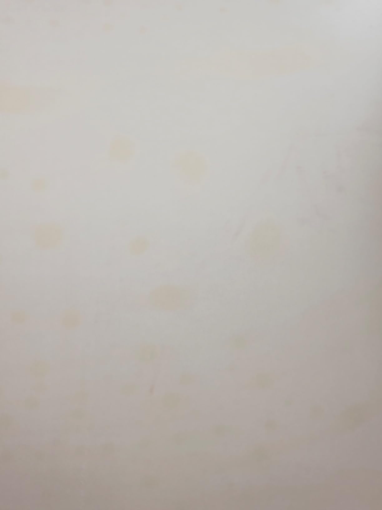 Sklum Kali tavolo da pranzo 190x95 cm gambe in vetro