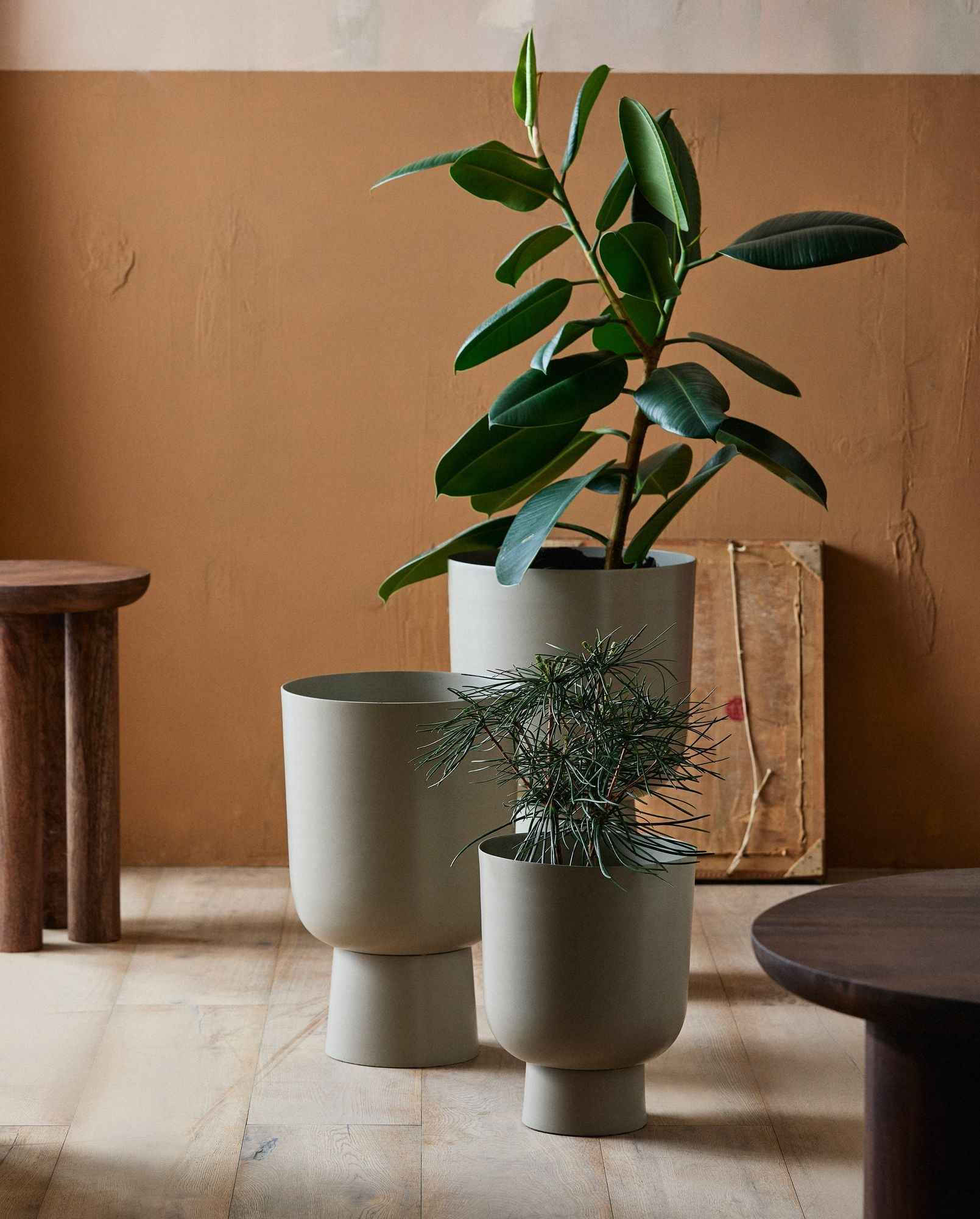 Bambua Galoa Vaso per Piante Beige M 18 L