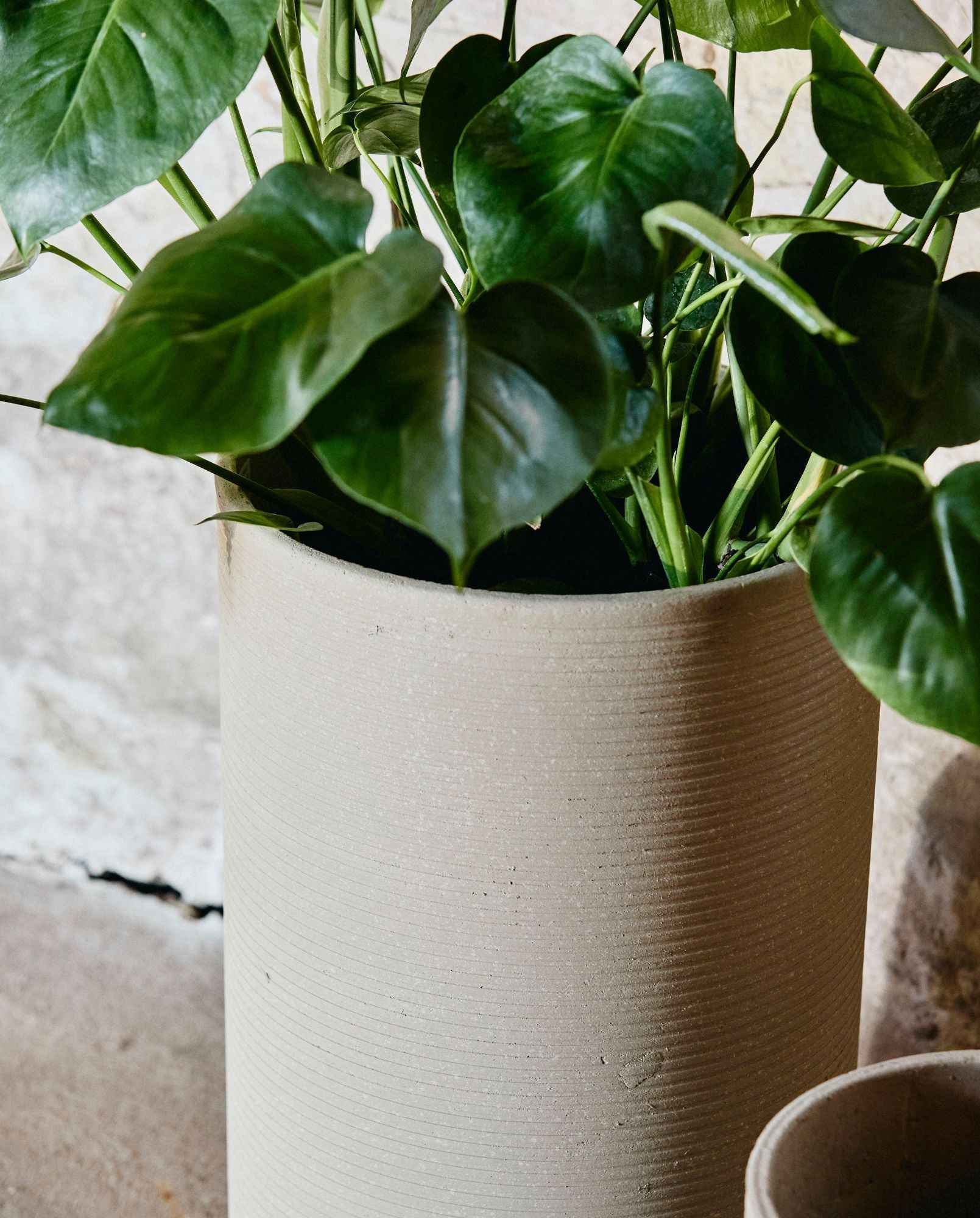 Bambua Granito vaso crema set 2 pezzi esterno