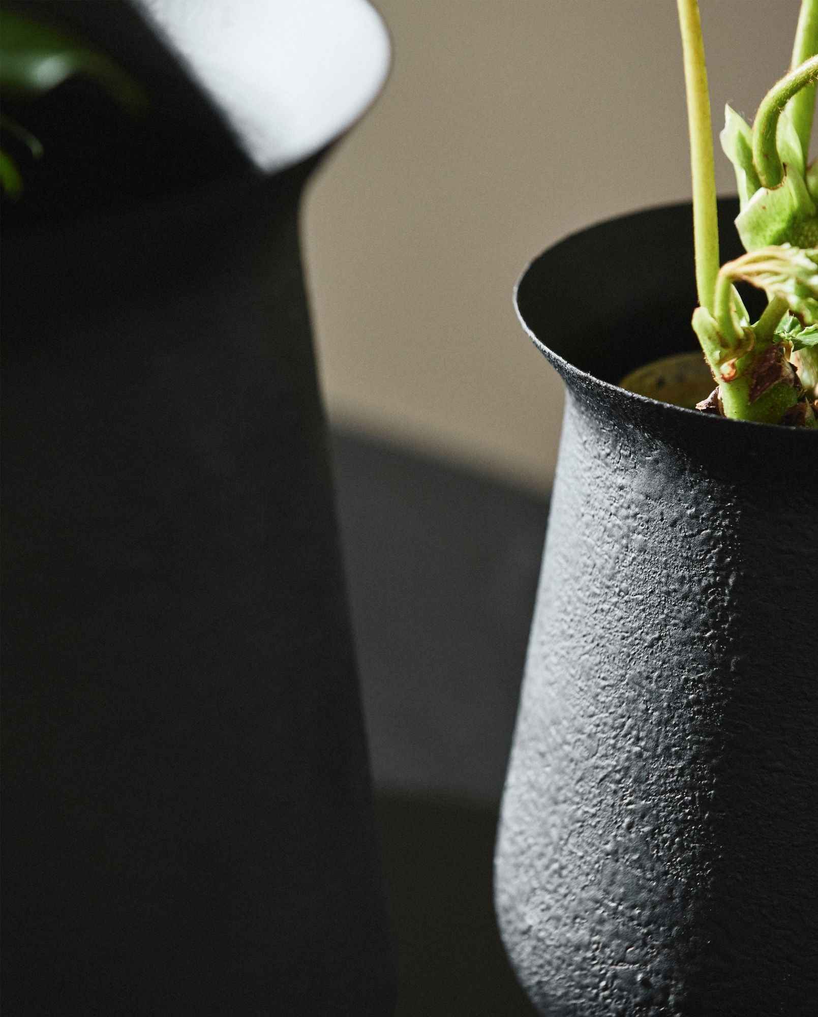Bambua Adony vaso da interno nero S