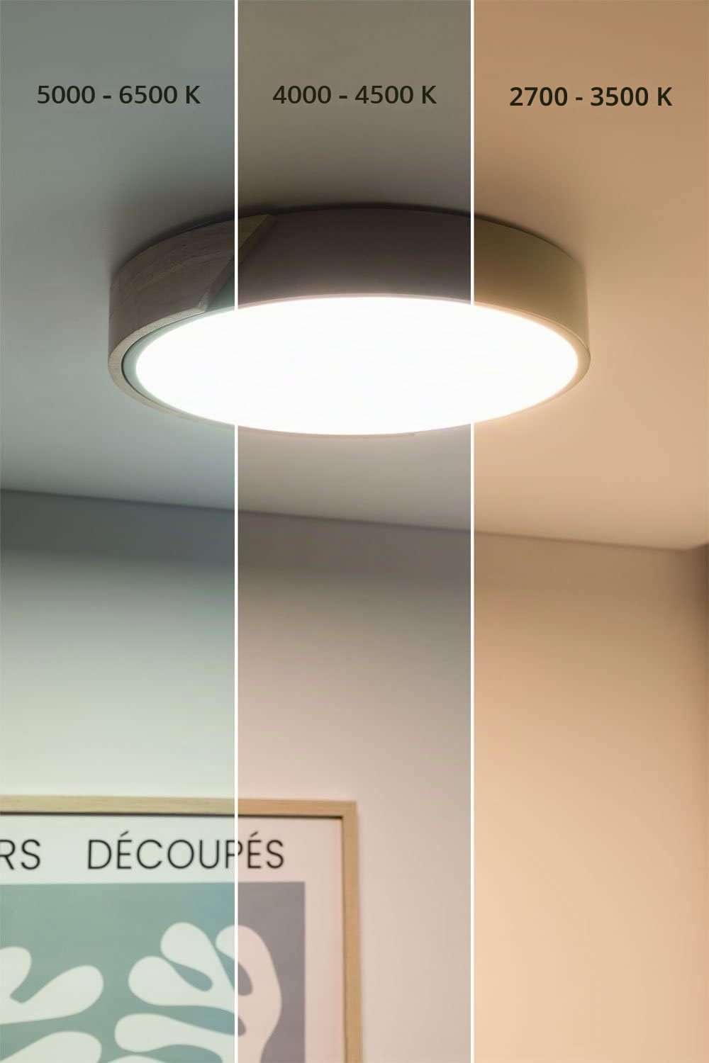 Sklum Jan Plafoniera LED Celadon Legno Ø30 cm