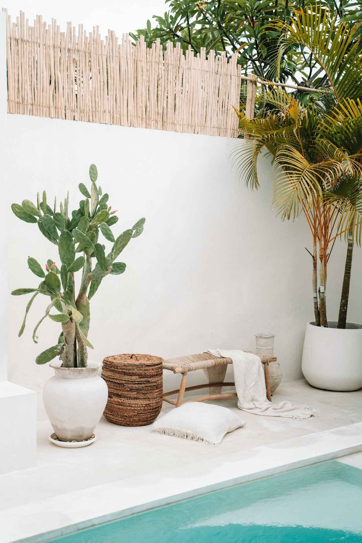 Bambua Porto L panca seagrass naturale legno