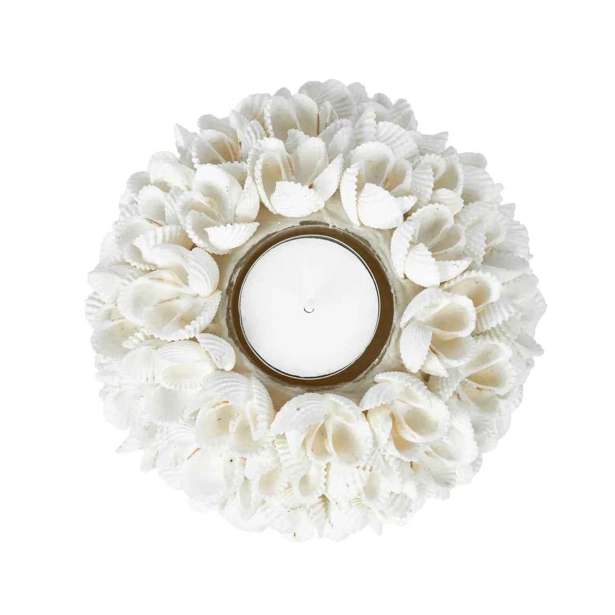 Bambua Flower Power Portacandele in Conchiglie L