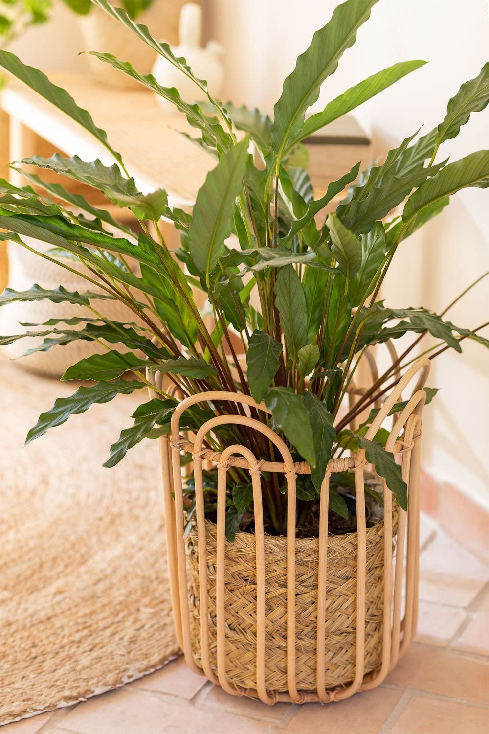 Sklum Xegoc Cestino Rattan Natural Ø31,5 cm