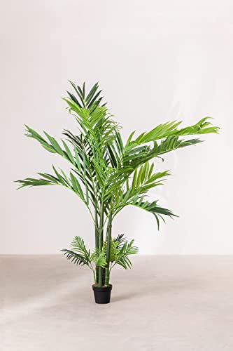 Sklum Palma Artificiale 250 cm in PVC con Vaso