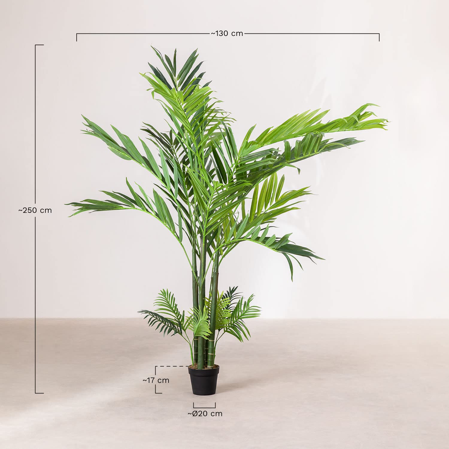 Sklum Palma Artificiale 250 cm in PVC con Vaso