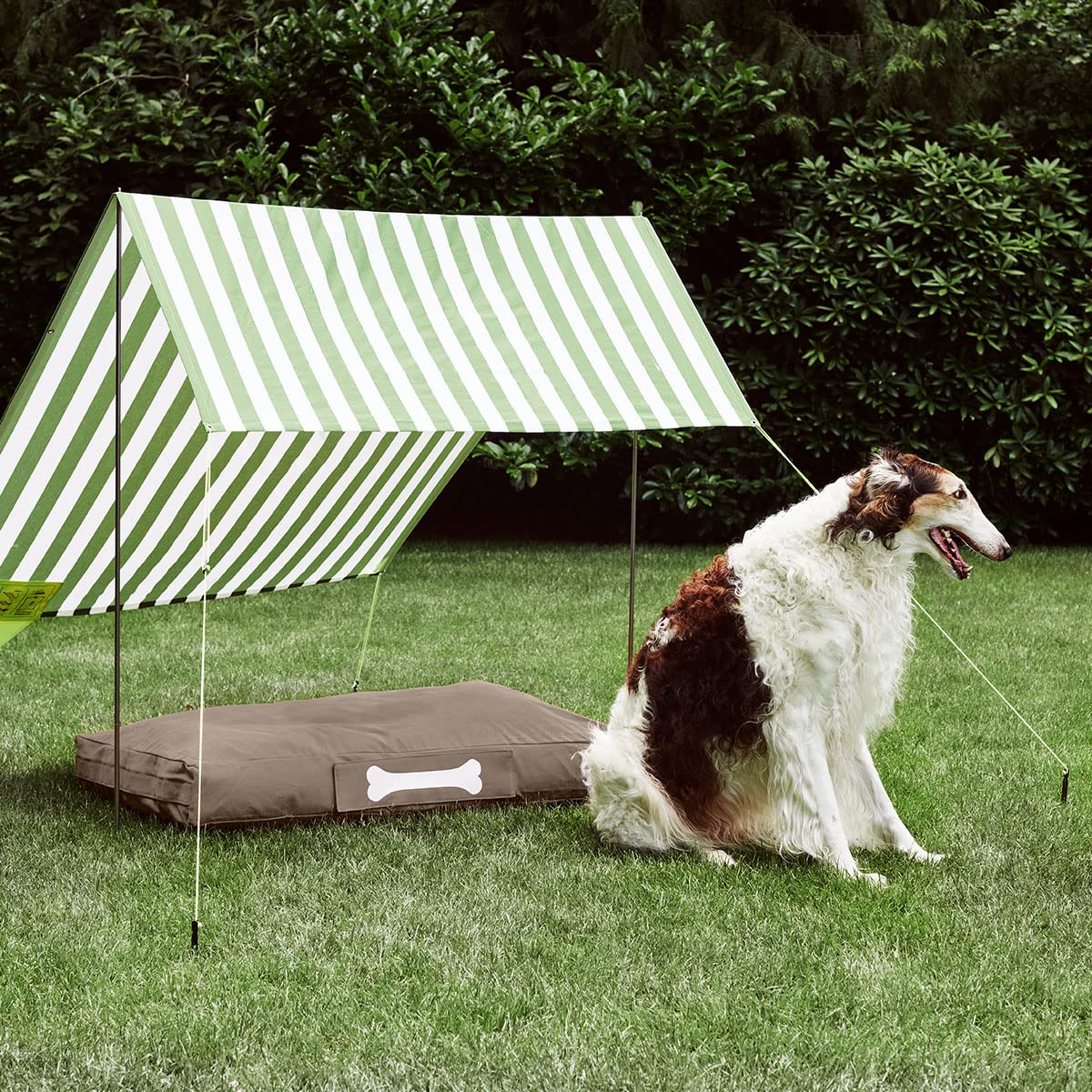 Fatboy Doggielounge Cuccia per Cani Large 120x80 Marrone
