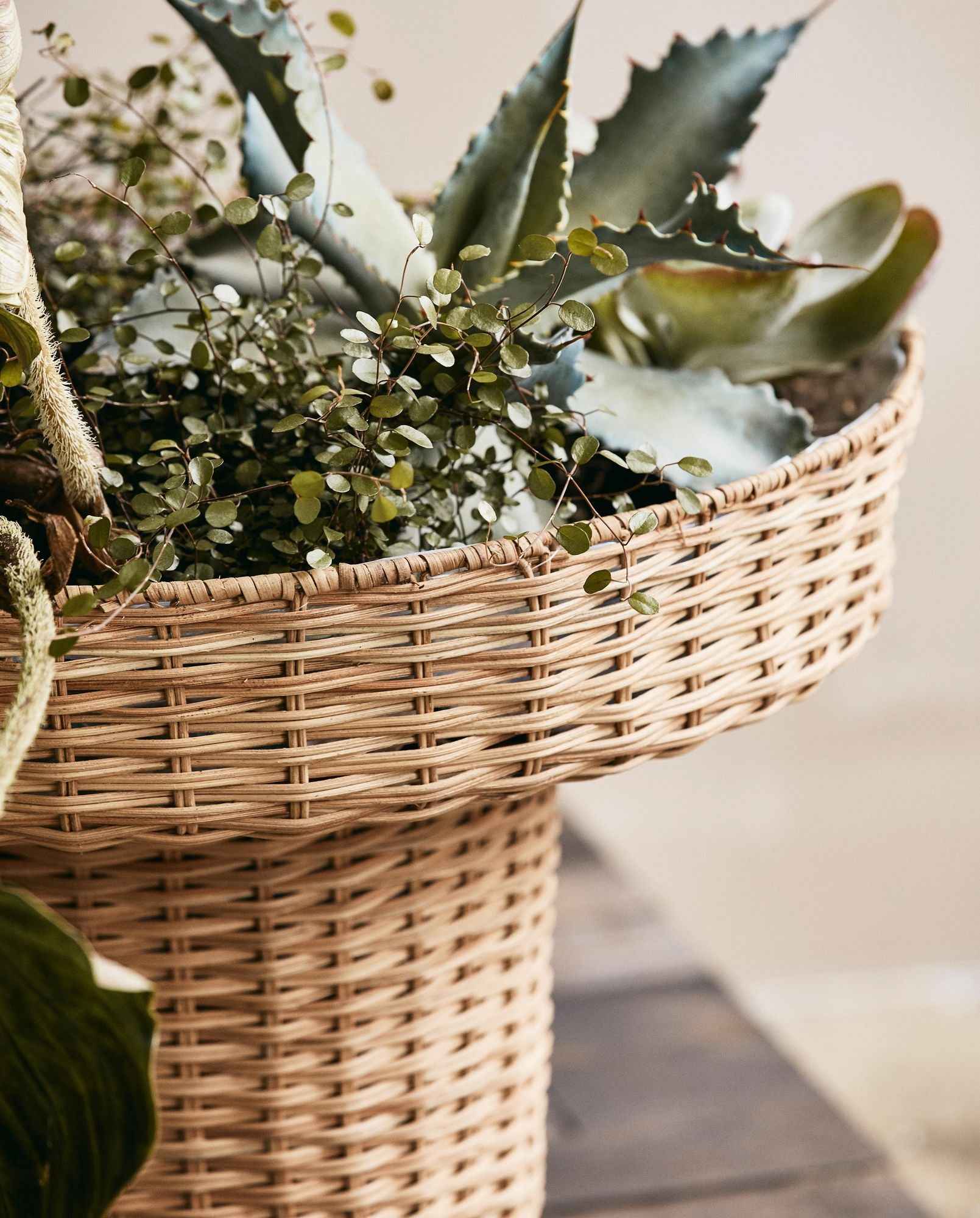 Bambua Laurie portavaso alto rattan nature
