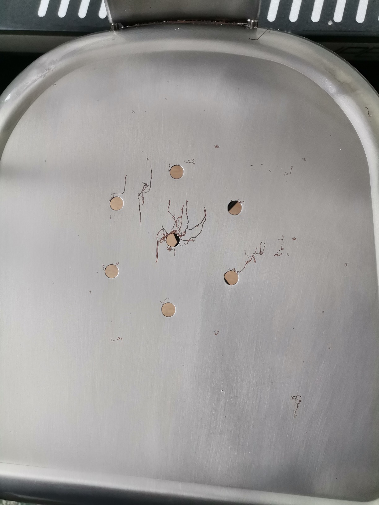 Sklum Lix sedia impilabile acciaio spazzolato