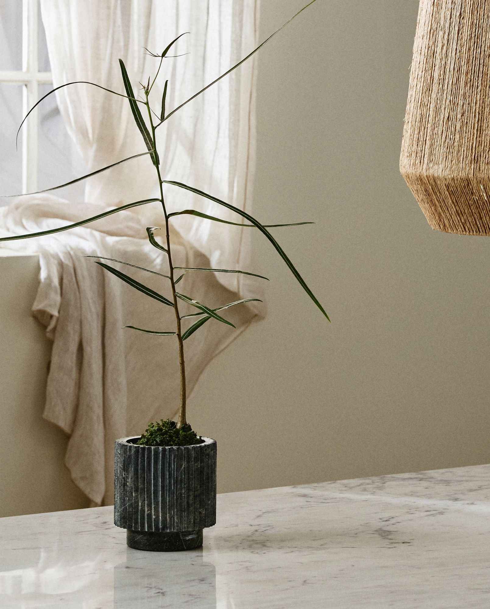 Bambua Loon vaso verde marmo naturale