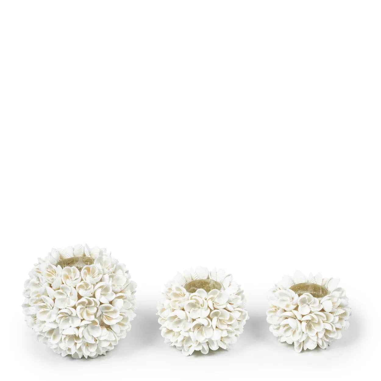 Bambua Flower Power Portacandele in Conchiglie L
