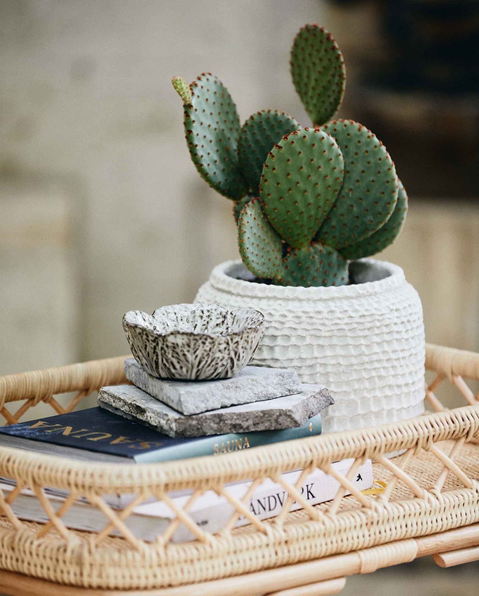 Bambua Aoba vaso M cemento bianco decorativo