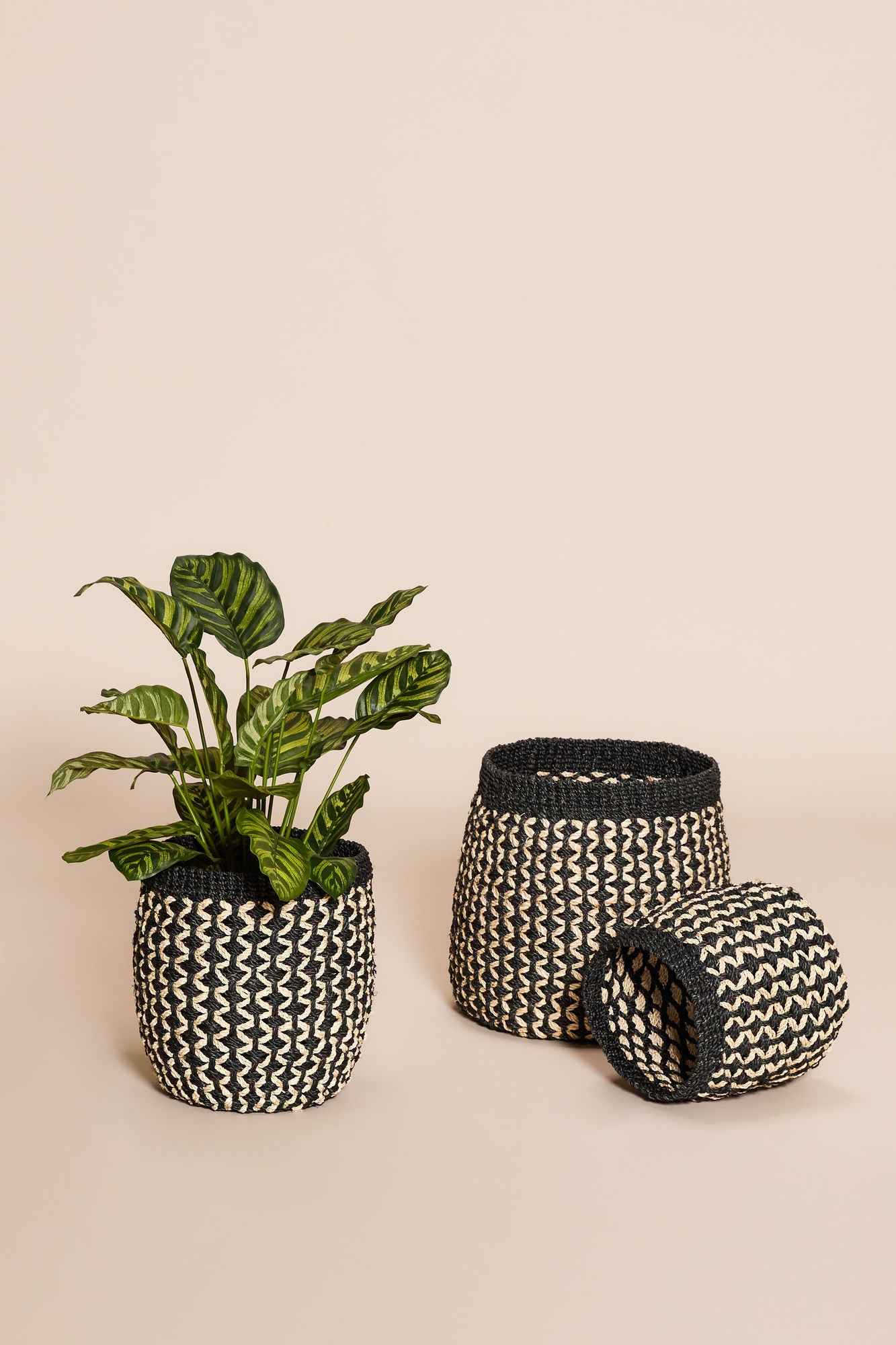 Bambua Sprout Cesti in Abaca Nero/Naturale Set 3 Pezzi