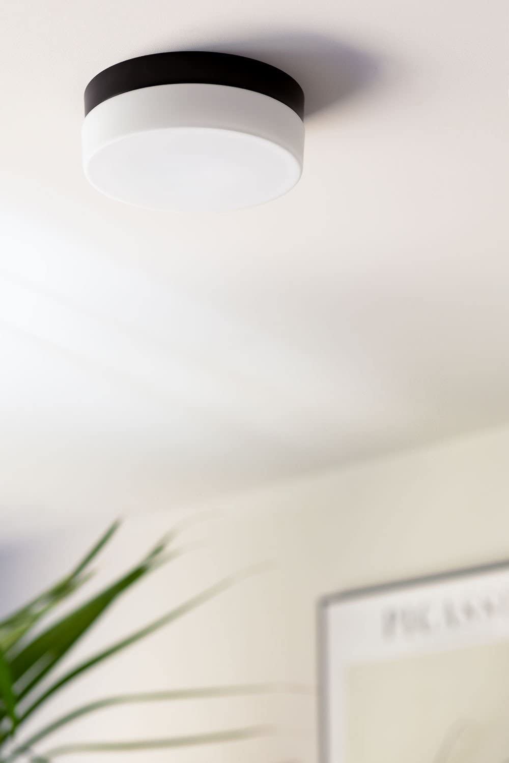 Sklum Lleku plafoniera led bianca Ø17,5 cm