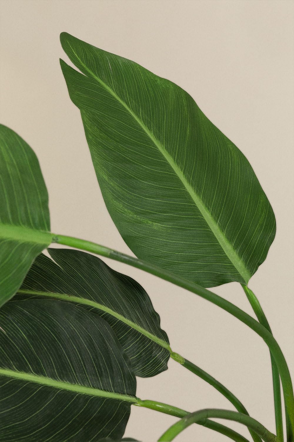 Sklum Strelitzia Style pianta artificiale 110 cm in PVC