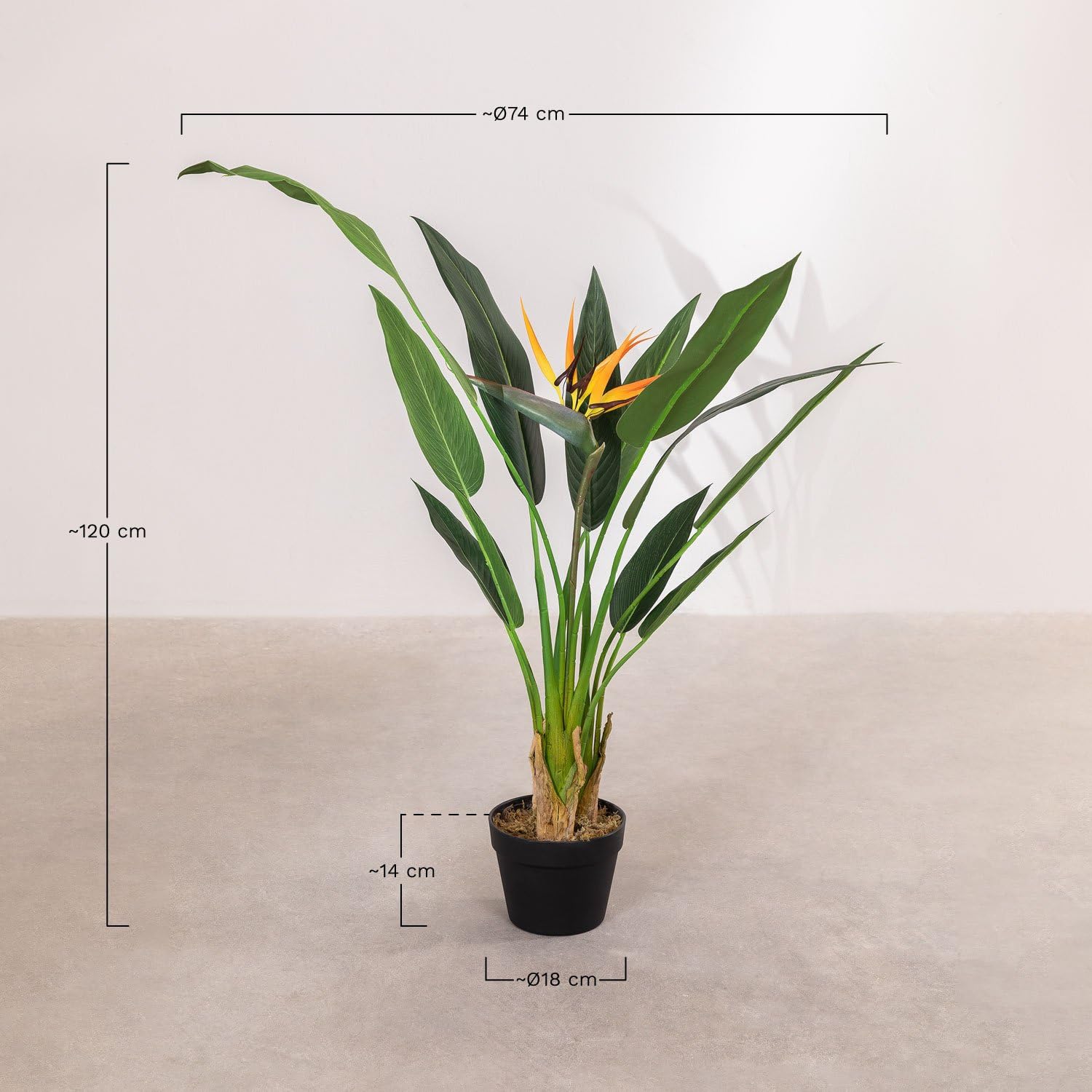 Sklum Strelitzia Style pianta artificiale 120 cm PVC